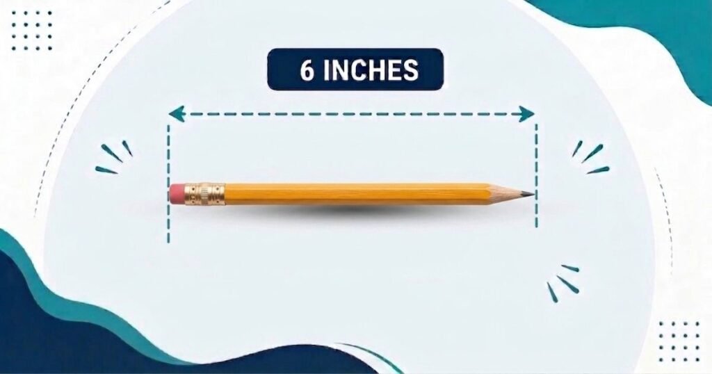 6 inch pencil