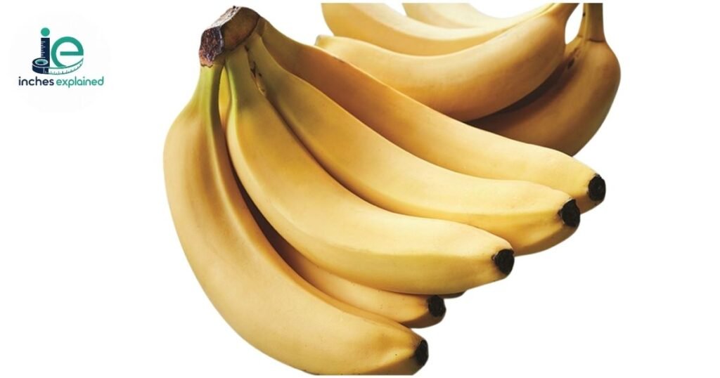 8 inch Medium Sized Banana