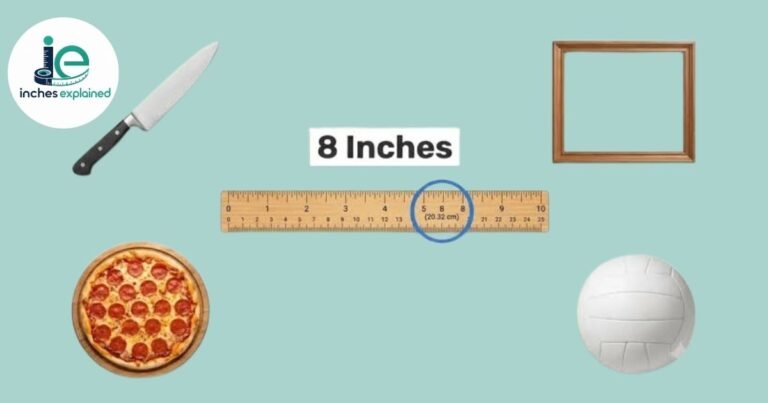8 inches