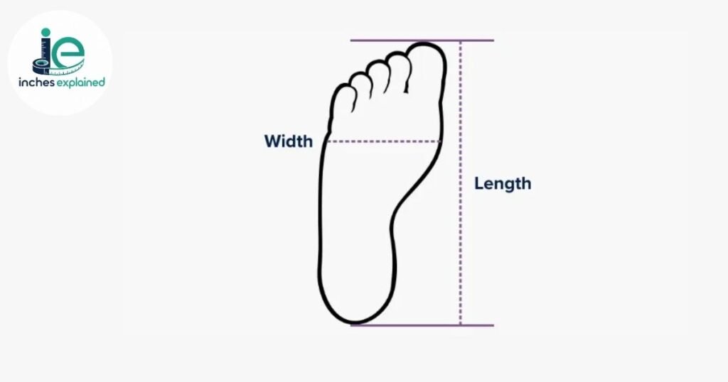 Eight Inch Shoes Length